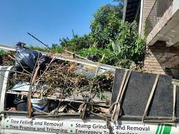 Best Yard Waste Removal  in East Tawas, MI